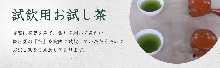 試飲用お試し茶